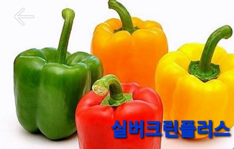 (주)리컴퍼니 이미지
