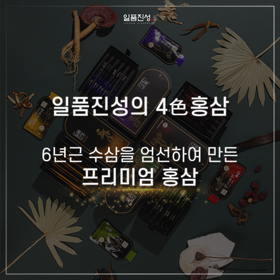 일품진성 이미지