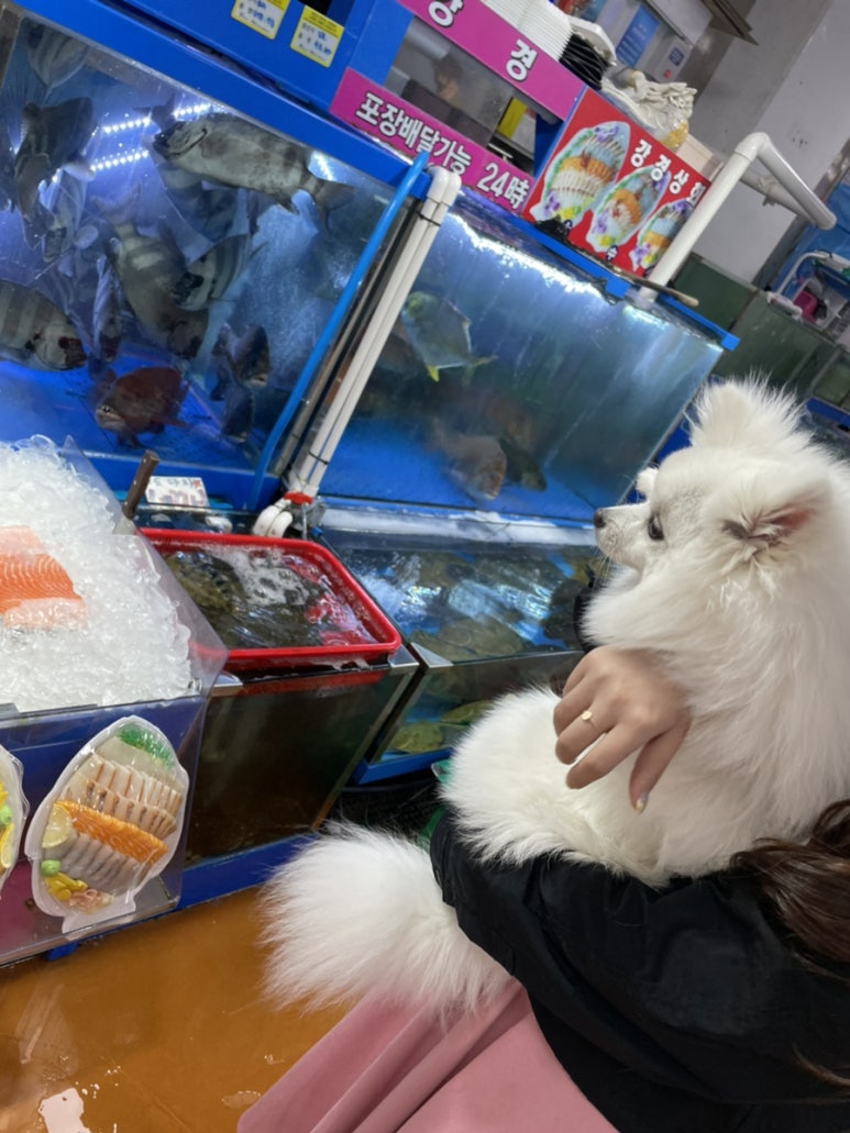 강경수산 이미지