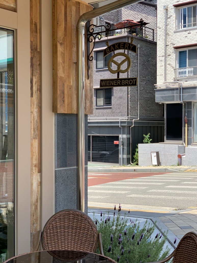 비너브로트 이미지