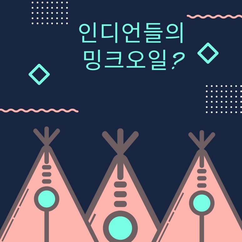 인디안엔씨 이미지