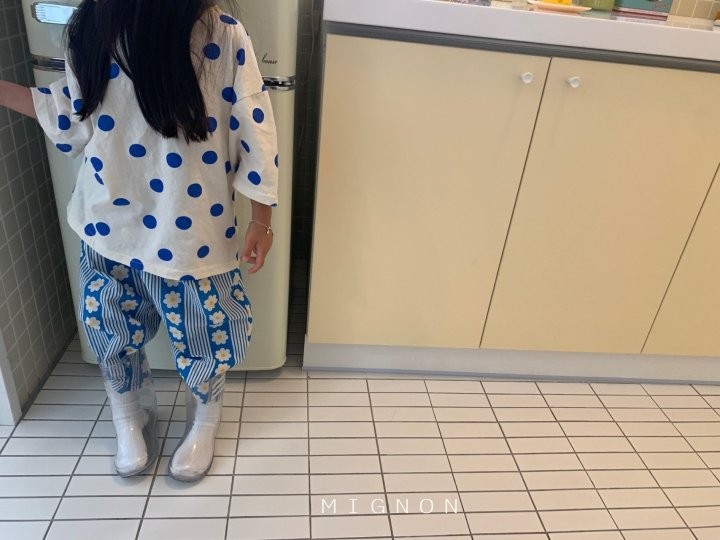 플롱 이미지