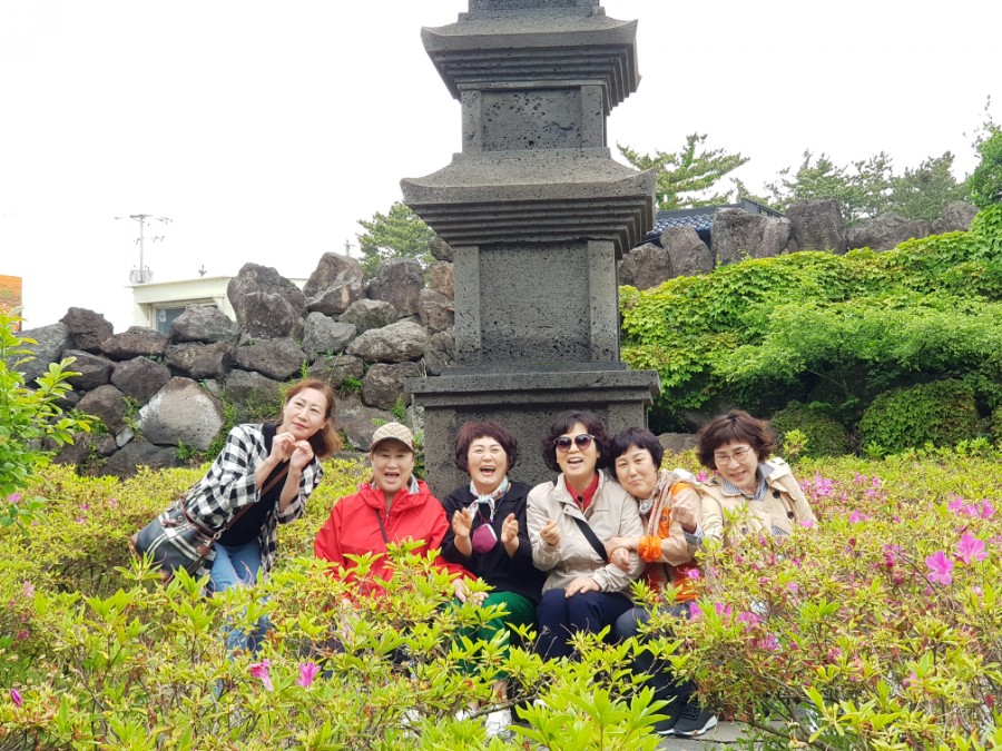 이프로 이미지