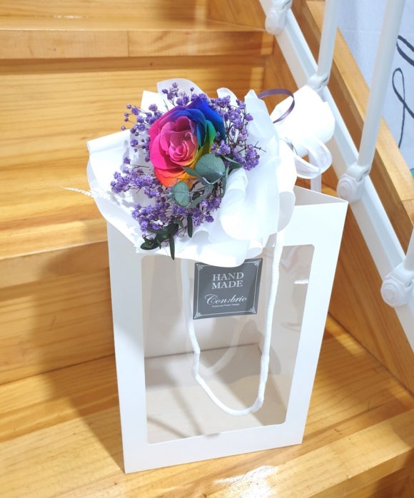 컨브리오 이미지