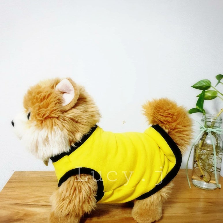 버찌소잉 이미지