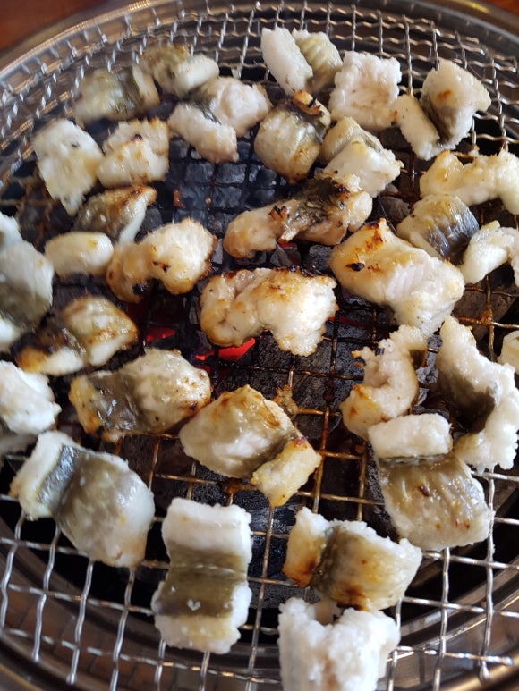 남해바다장어 이미지