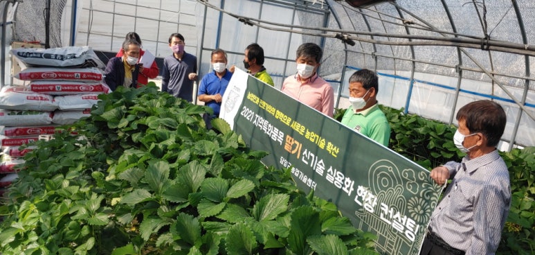 포커스컨설팅 이미지