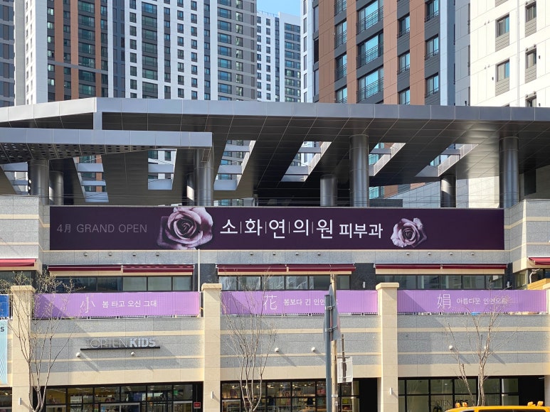 아름다울:연(娟) 이미지