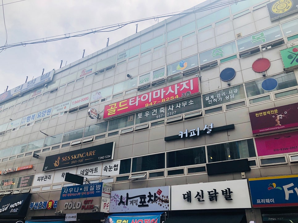 골드타이 이미지