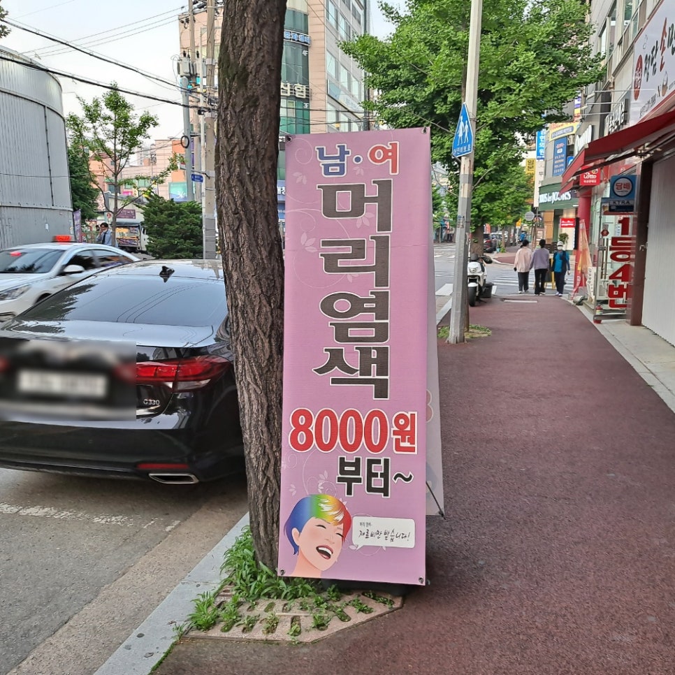 구피샵청주 이미지