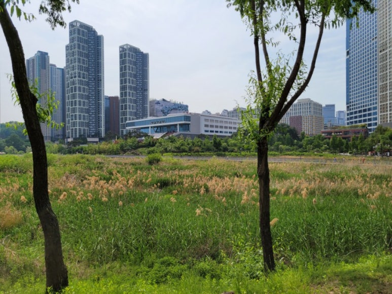 카페만선뜰 이미지