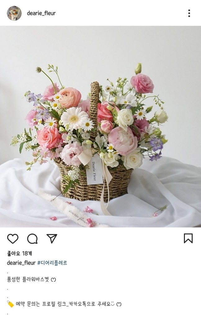 디어리플레르 이미지