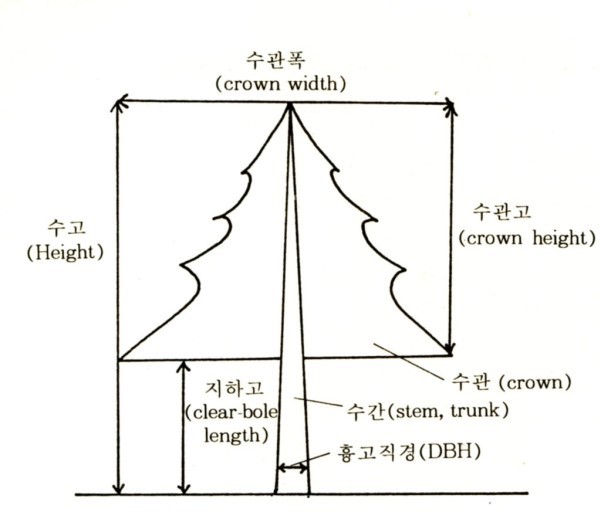 수관기피 이미지