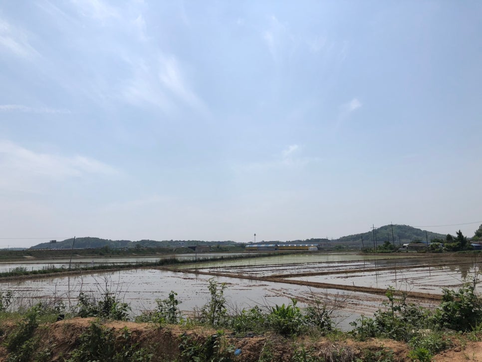 현덕초등학교 이미지