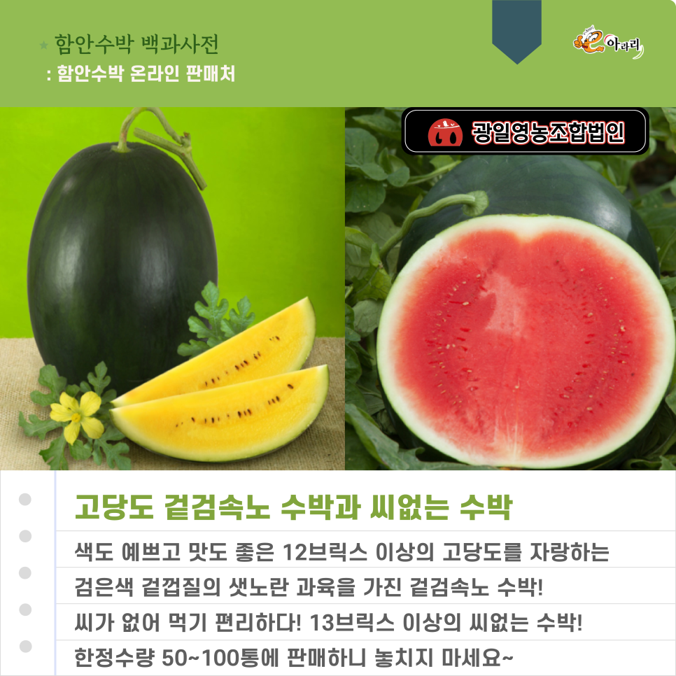 광일종합관리 이미지