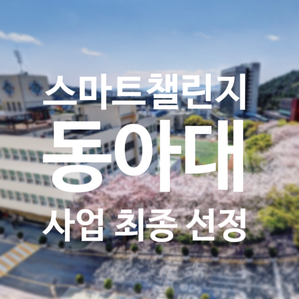 디아이솔루션 이미지