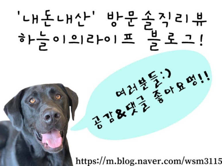 알뜨르식당 이미지