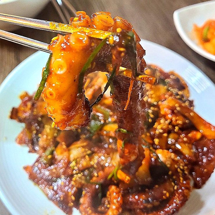뻘속낙지 이미지