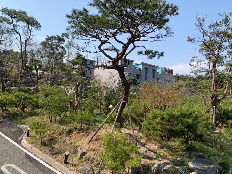 횡성무인텔 이미지