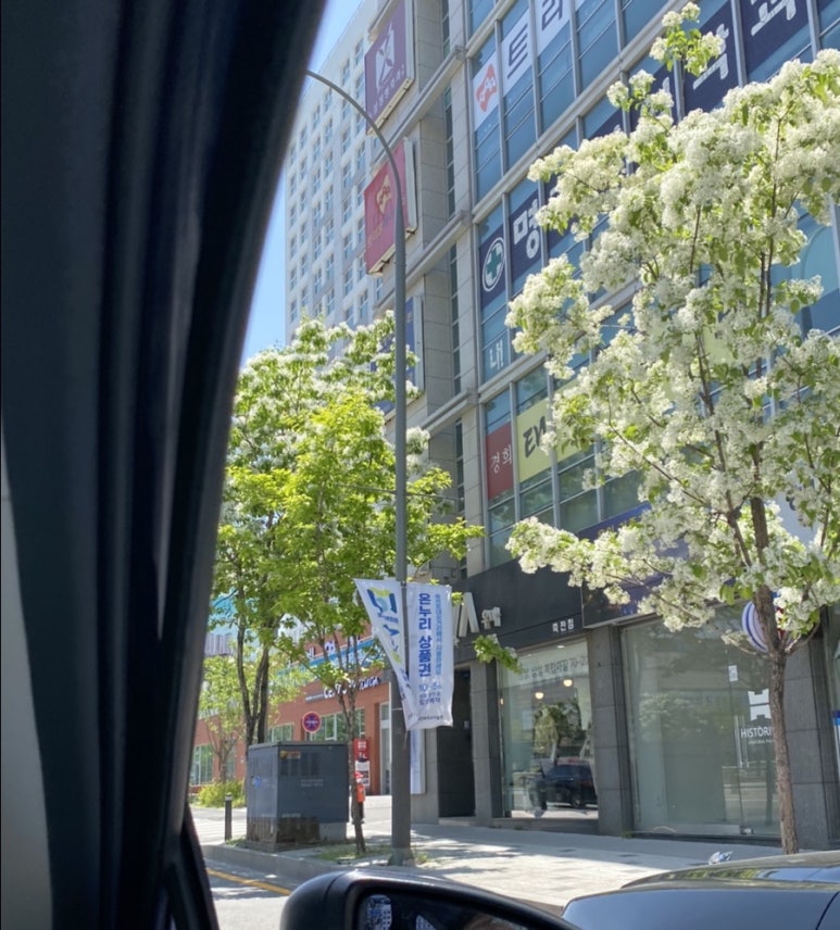 네일바이윤 이미지