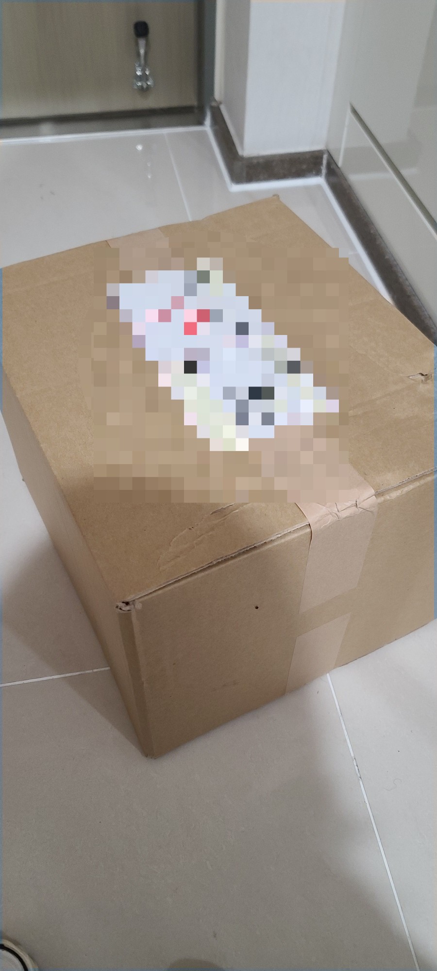 코햄체 이미지