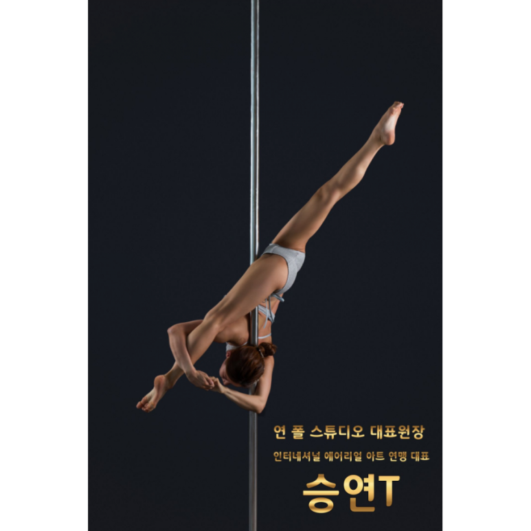 인터네셔널에어리얼아트연맹 이미지