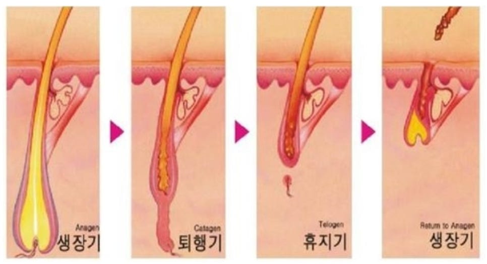 웰스피부과 이미지
