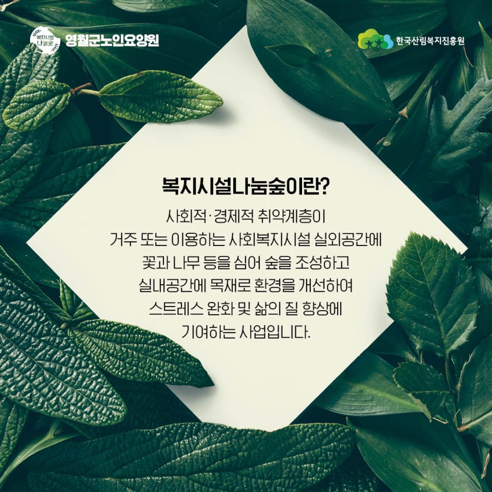 정화노인요양원 이미지