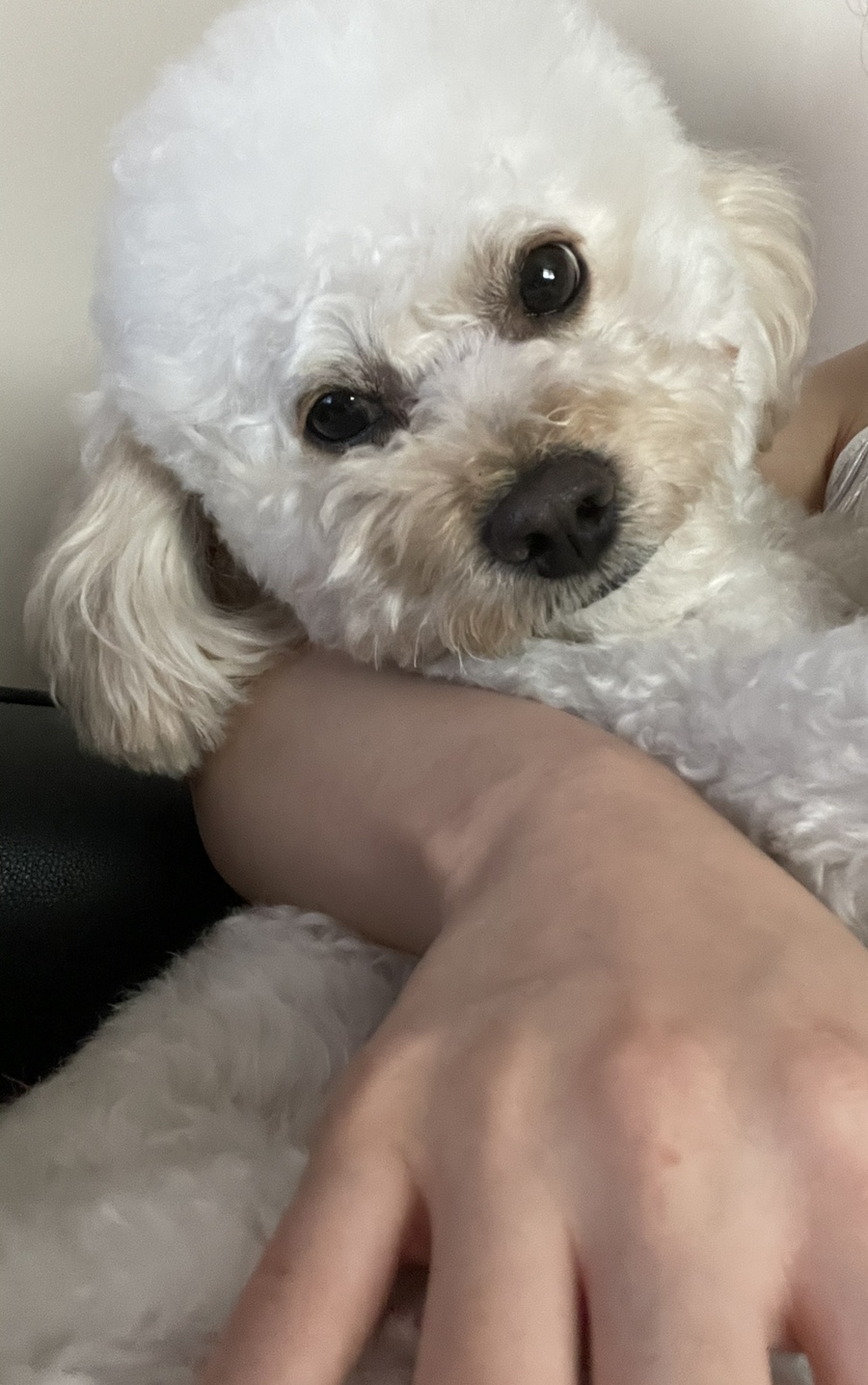 다복식탁 이미지
