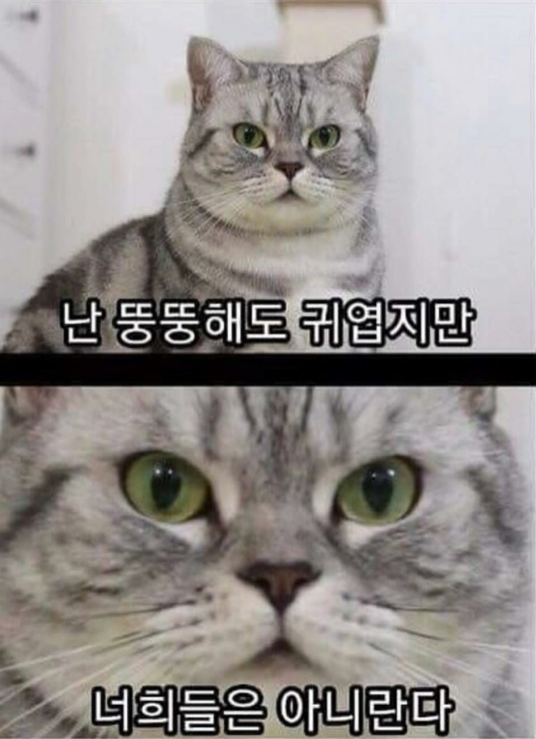 경희네맛집 이미지