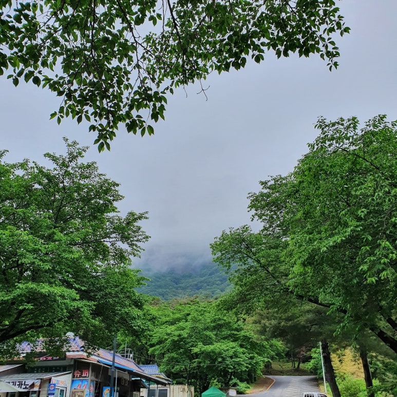 초원국수식당 이미지