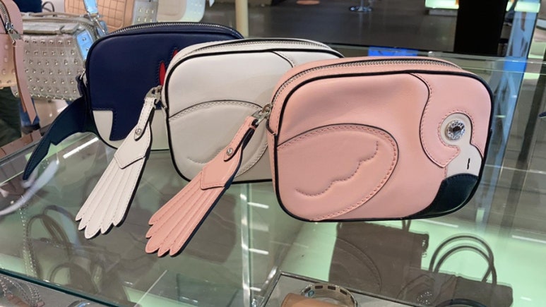 세일카메라 이미지