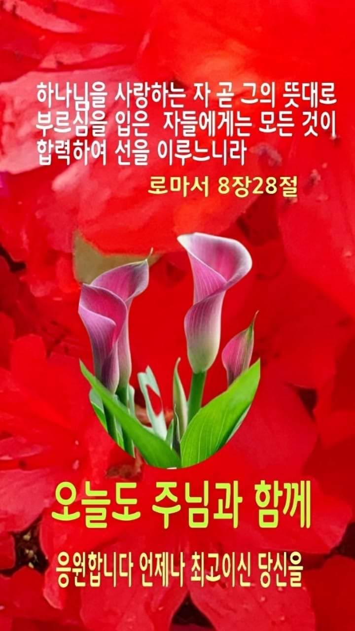 영광석유 이미지