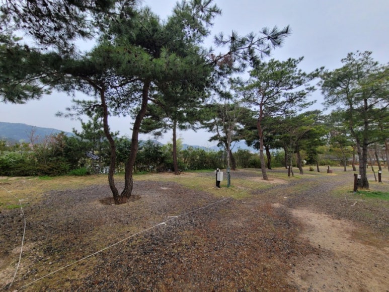 용천수캠핑장 이미지
