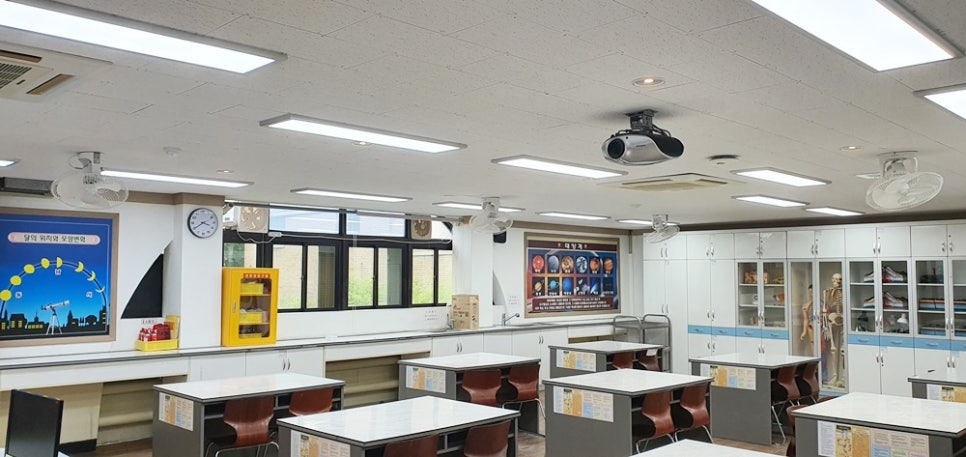 인동초등학교 이미지