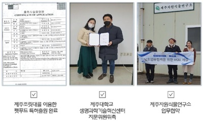 제주김집사 이미지