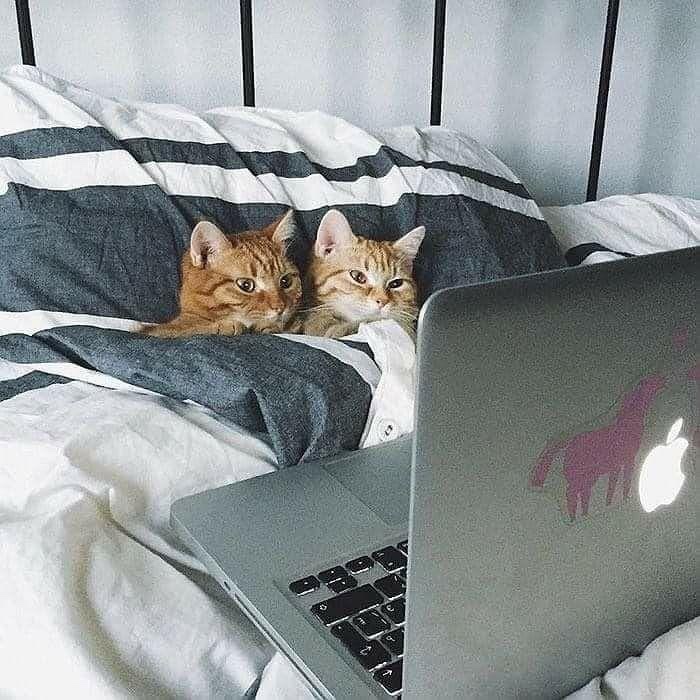 이모유통 이미지