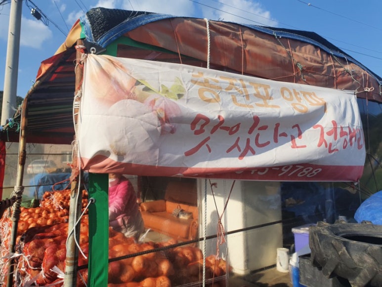 거제송진포농산 이미지