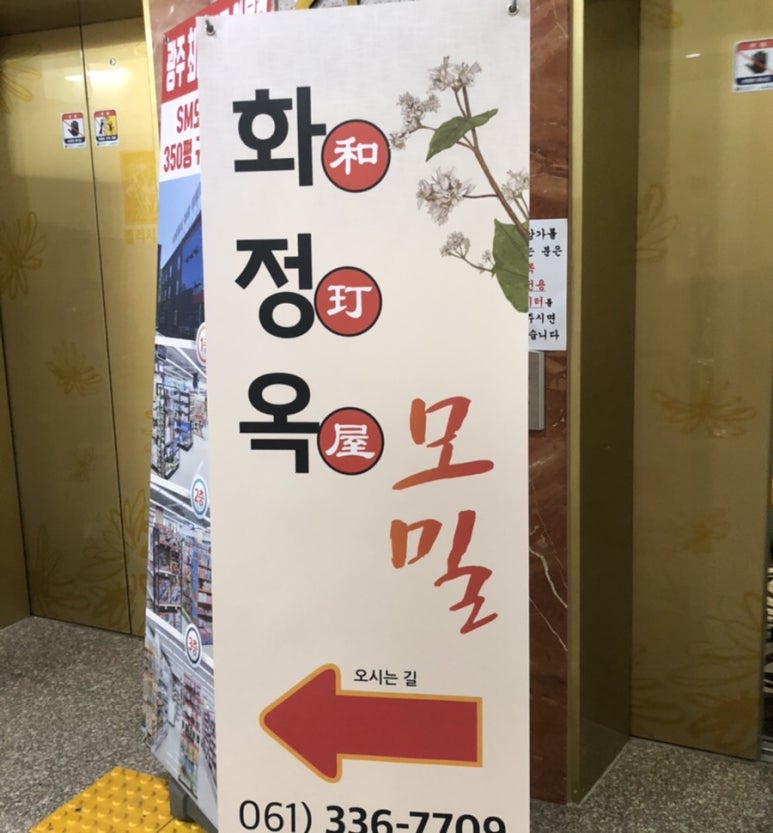화정옥모밀 이미지