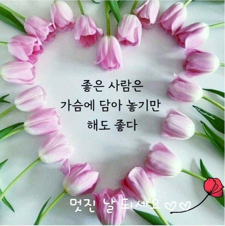 빨래박사 이미지