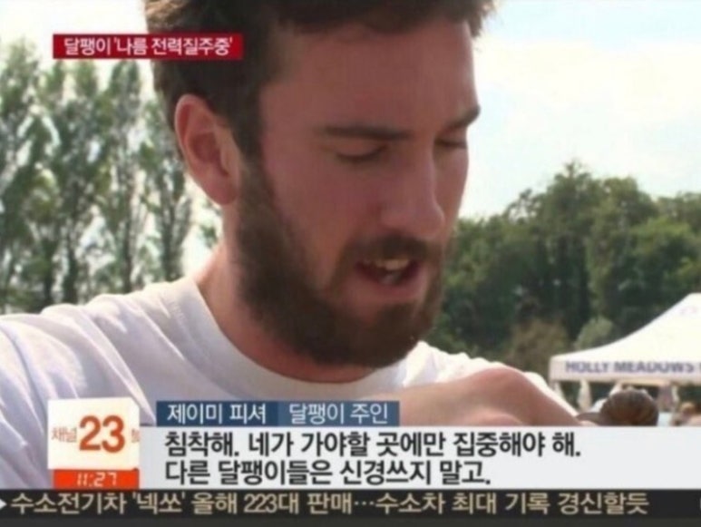 고양이피아노교습소 이미지