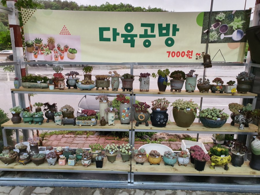 영월랜드휴게소 이미지
