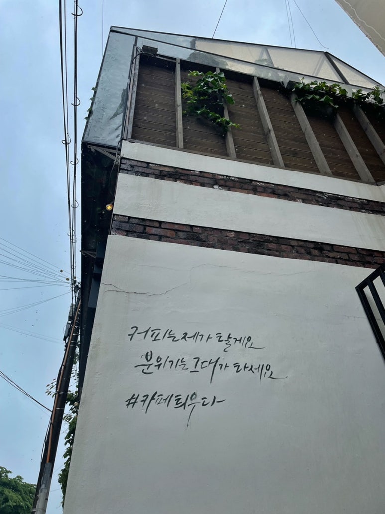 카페틔우다 이미지