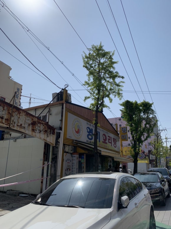 보성녹차오리탕 이미지