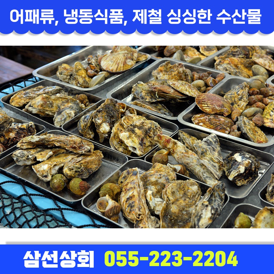 삼선어패류 이미지