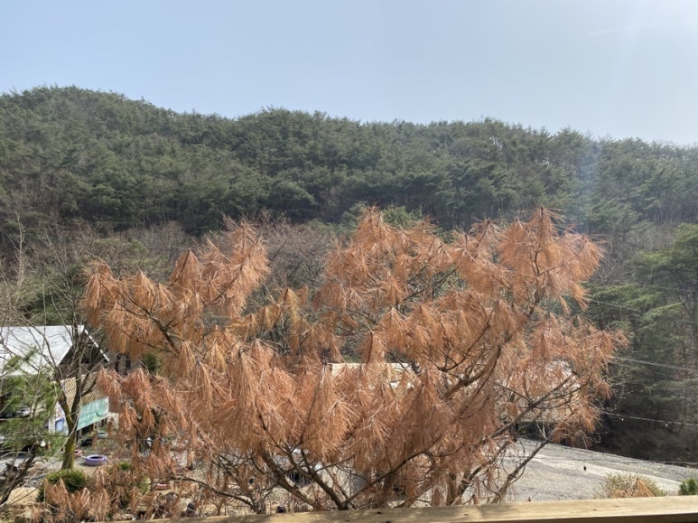 덕산유통 이미지