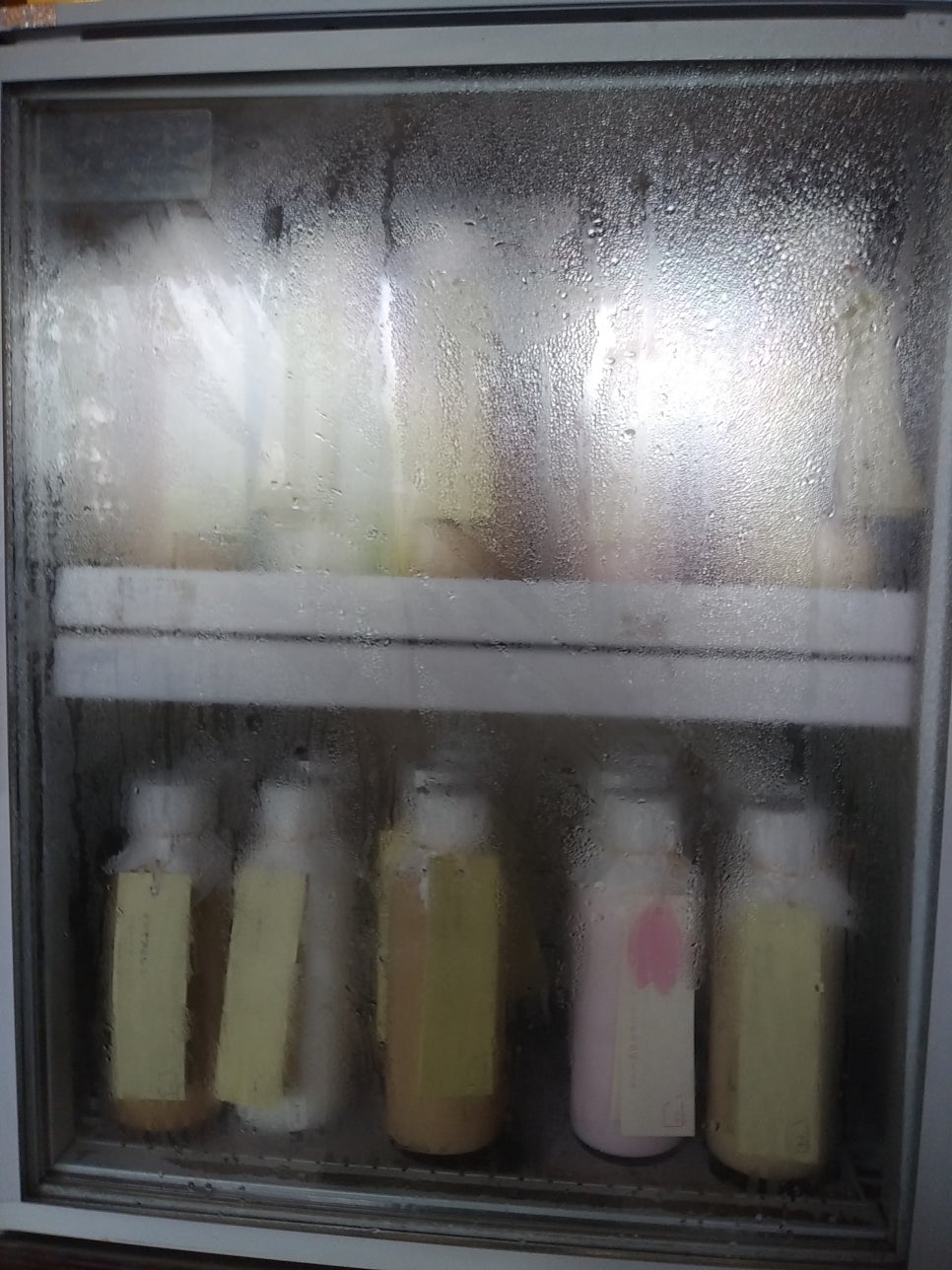 부산여행특공대 이미지