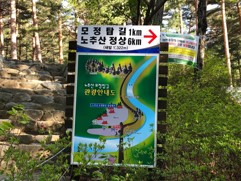 강릉 노추산 힐링캠프 이미지
