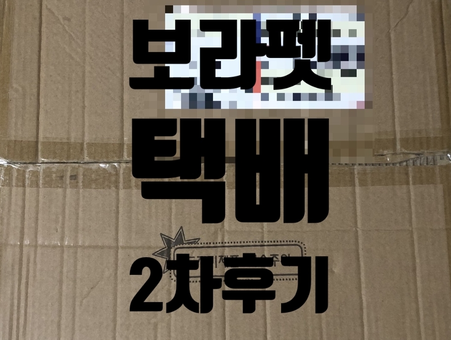 보라펫 이미지