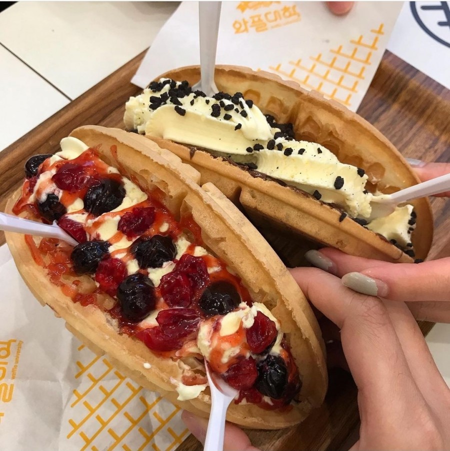 와플대학 이미지